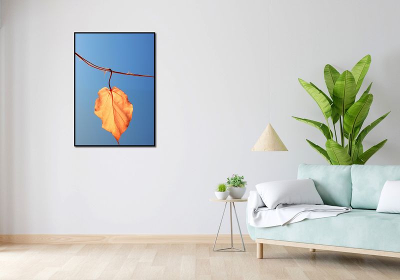 Plakat 67,5x95cm Ostatni Liść zdjęcie 4