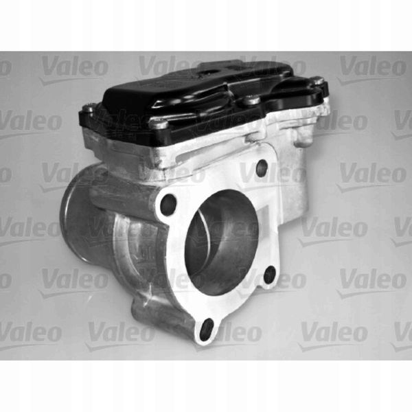 Valeo 700431 Korpus przepustnicy zdjęcie 13