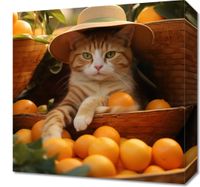 product-compare-59477360