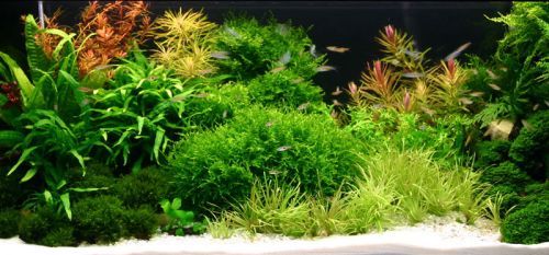 Zestaw 30l profil+ full wyposażenie + GRATISY na Arena.pl