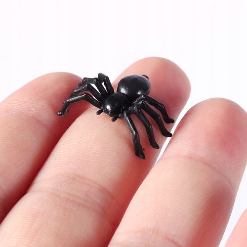 Pająk 2 x 2 cm 50 szt. na Arena.pl