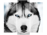 90 80CM OBRAZ T3 ELEM HUSKY SYBERYJSKI DRUK ŚCIENNY
