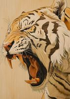 Plakat 67,5x95cm Majestatyczny Ryk Tygrysa