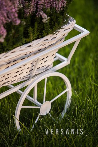 Kwietnik Wózek do ogrodu na Arena.pl