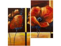 60X60CM MAKI POLNE DWU OBRAZ ŚCIAN