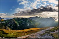 product-compare-58694474