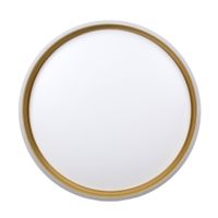 Florida lampa sufitowa plafon biało złoty+czarny 24W LED 38 cm klosz biały