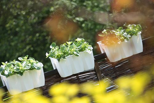 3x Skrzynka na balustradę DCRO400, Doniczka balkonowa + keramzyt 5l na Arena.pl