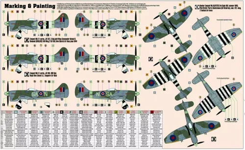 Hawker Tempest Mk.V, D-213, 1:72 na Arena.pl