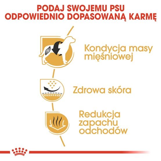 Karma sucha dla psów dorosłych rasy buldog francuski - Royal Canin 3kg zdjęcie 6