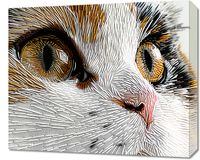 product-compare-59510250