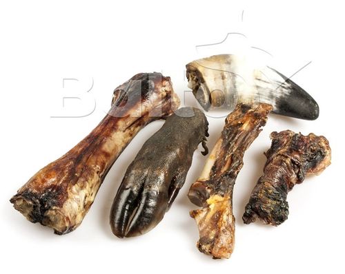 Zestaw gryzaków twardziela - paczka zdrowych przysmaków dla psa Balto 5szt na Arena.pl