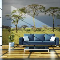 Fototapeta - Savanna trees 200x154