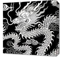 Obraz 50x50cm Orient