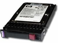 HP Enterprise 300GB 10K SAS 2.5 DP, 492620-B21