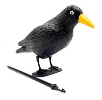 ODSTRASZACZ PTAKÓW DUŻY CZARNY KRUK na szpaki gołębie