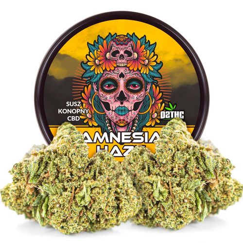 Susz konopny CBD | AMNESIA HAZE | 100 g na Arena.pl