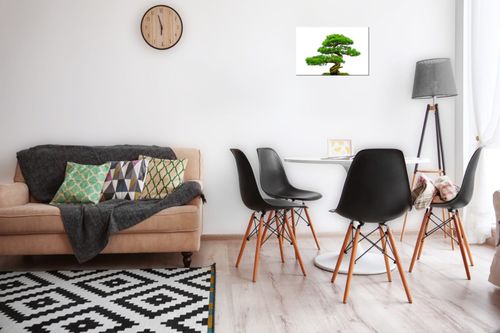Obraz Drukowany 30X20 Bonsai na Arena.pl