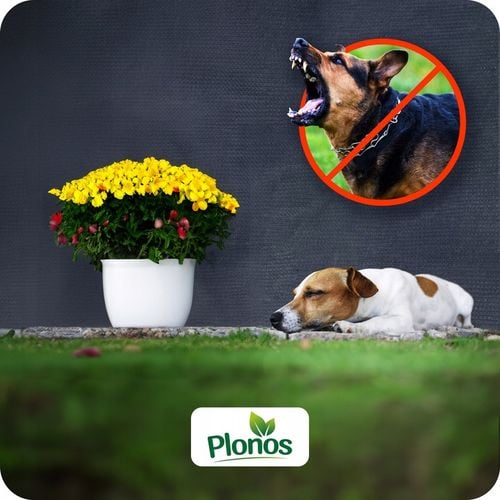 SIATKA CIENIUJĄCA NA PŁOT OGRODZENIE 1,2x25m MASKUJĄCA MATA OSŁONA 90% na Arena.pl