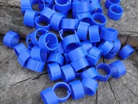 Znaczniki Obrączki 20 mm dla drobiu 10 sztuk