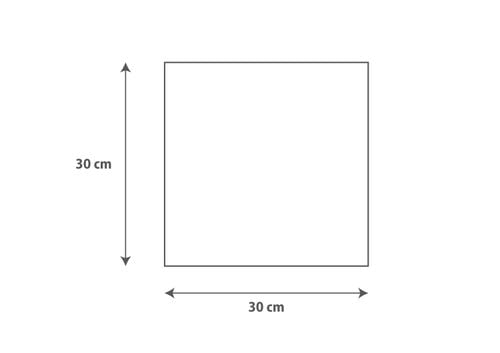 OBRAZ NA PŁÓTNIE 040 Kaktusy 30x30cm na Arena.pl
