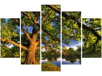 product-compare-58695170