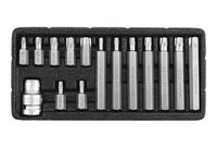 komplet kluczy torx t20-t55 15sztuk - yt-0417