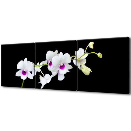 Obraz Płótno 150X50 Gałązka Storczyka na Arena.pl