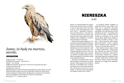 Głupie Ptaki Polski. Przewodnik Świadomego Obserwatora na Arena.pl