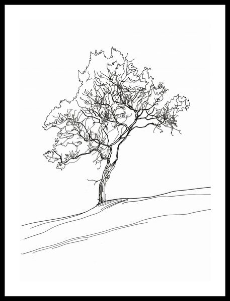 Plakat 40x55cm Drzewo w Zarysie zdjęcie 3