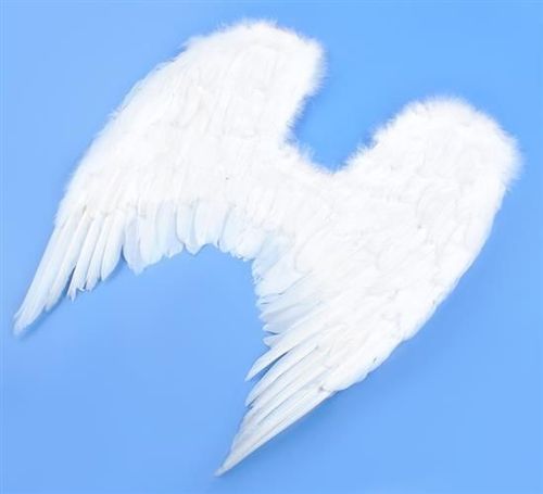 Skrzydła Anioła na Arena.pl