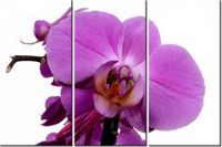 product-compare-58675958