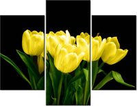 product-compare-58712233