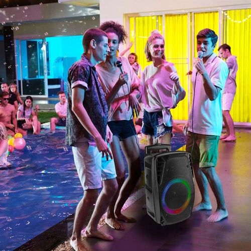 Głośnik BLUETOOTH karaoke 300W MIC PILOT BATERIA na Arena.pl