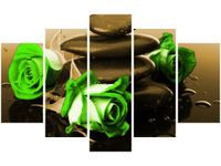 70 100CM OBRAZ 5 ELEM WENGE LIMONKA DRUK PŁÓTNO