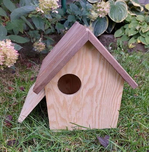 Budka domek dla wiewiórek na Arena.pl