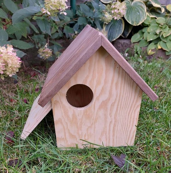 Budka domek dla wiewiórek zdjęcie 7