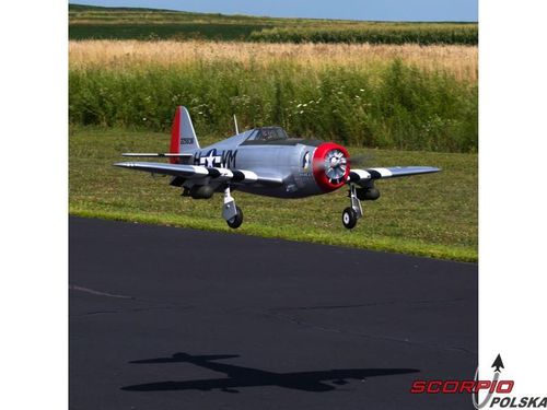 P-47D Thunderbolt 20cc ARF na Arena.pl