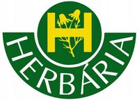 HERBARIA BANFI Wcierka do włosów kofeinowa ŻEŃ-SZEŃ 250 ml | STYMULUJĄCA