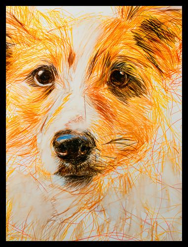 Plakat 60x80cm Uroczy Gość na Arena.pl