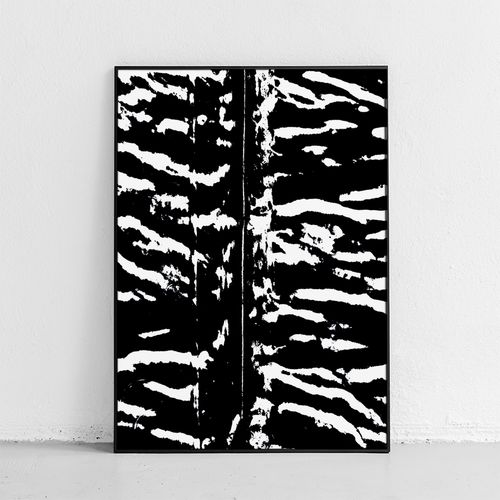 Plakat czarnobiały zebra 40x50 cm na Arena.pl