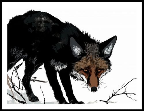 Plakat 80x60cm Nieufny Lis na Arena.pl