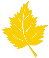 L3 Zawieszka LIŚĆ jesień ozdoba KOLORY ażur dodate