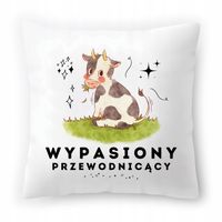 Poduszka Biała 40X40 Cm Przewodniczącego Dziecka Z Nadrukiem Ze Zdjęciem