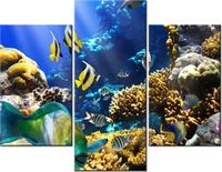 70 90CM OBRAZ 3 ELEM RAFA KORALOWA ŚCIENNY PŁÓTNO