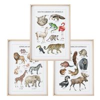 ZESTAW 3 szt. Plakaty Obrazki Dziecięce Młodzieżowe ZWIERZĘTA ŚWIATA A3