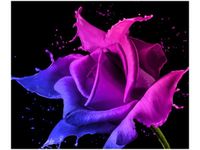 60X50CM RÓŻA FARB JAKUB BANAŚ OBRAZ ŚCIAN DREWNIANE