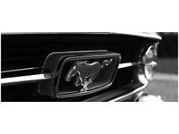 100X40CM PĘDZĄCY MUSTANG SPUNKR OBRAZ DREWNO