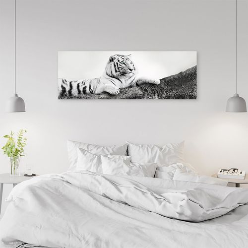 Deco Panel, Czuwający tygrys 150x50 na Arena.pl