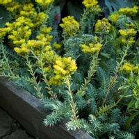 product-compare-57011093